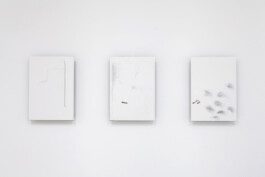 Sebastián Garbrecht