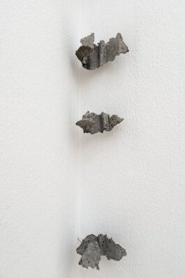 Sebastián Garbrecht