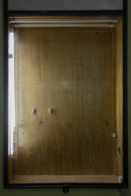 Sebastián Garbrecht