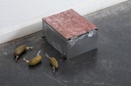 Sebastián Garbrecht