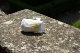 Sebastián Garbrecht