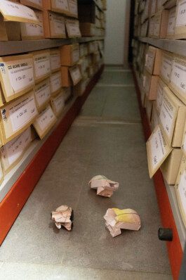 Sebastián Garbrecht