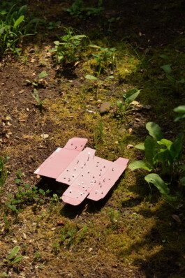 Sebastián Garbrecht