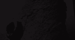 Sebastián Garbrecht